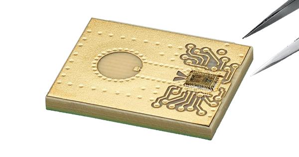 VEGA participates in chip start-up